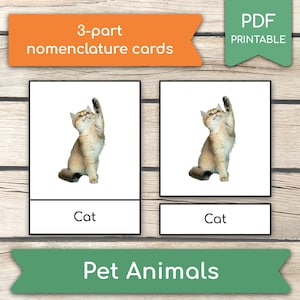 10 animais de estimação (fotos reais) Cartões Montessori, Cartões de animais de estimação, Cartões de animais, Cartões de 3 partes, FlashCards de nomenclatura, Aprenda animais de estimação