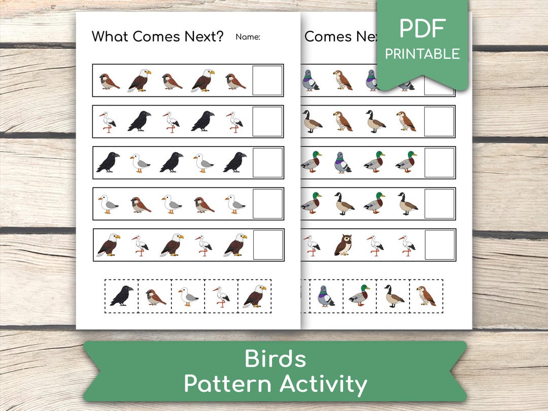 Birds Pattern Activity: Preschool Learning Activity (PDF Printables) - Etsy