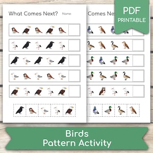 Puede incluir: Una hoja de actividades en PDF imprimible con ejercicios de reconocimiento de patrones de aves. La hoja presenta filas de aves ilustradas, con un espacio para identificar la siguiente ave en la secuencia. Se muestra el título "What Comes Next?"