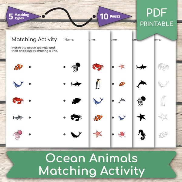 Ocean Animals Matching Activity 5 Different Types Worksheet • 10 Pages, Preschool Education, Homeschool, Kindergarten, Busy Book Pages