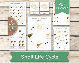Snail Life Cycle Activity Bundle: Educational Printable Set (PDF Printables)