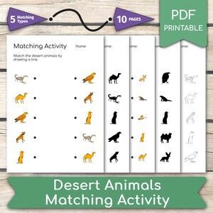 Desert Animals Activity 5 Different Types Worksheet • 10 Pages, Preschool Education, Homeschool, Kindergarten, Busy Book Pages