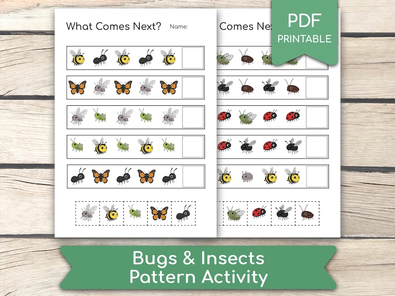 Pattern Insects Sheets Bugs & Insects Pattern Activity: Preschool Learning Activity (PDF ...