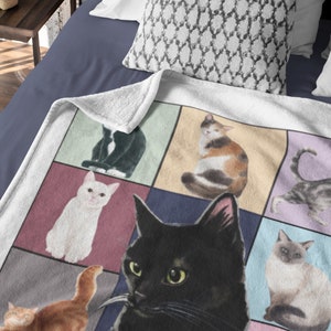 Swift Cat Eras Blanket, TS Fan Gift, Cat Mom Dad Parent Lover, Velveteen Minky Soft Plush Blanket