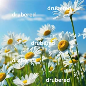 Feld der Gänseblümchen Landschaft Natur Daisy Digital Art Download Einzigartige Drucke für Natur Dekor, Landschaftsdrucke, gerahmte Kunst, Maus Pads, Geschenke
