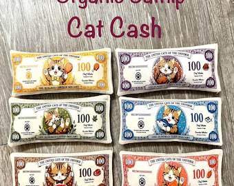 Handmade Organic Catnip Cat Toy | 6 Different Cat Cash | Plush Cat Toy | Funny Money Cat Toy | Gift for Cats