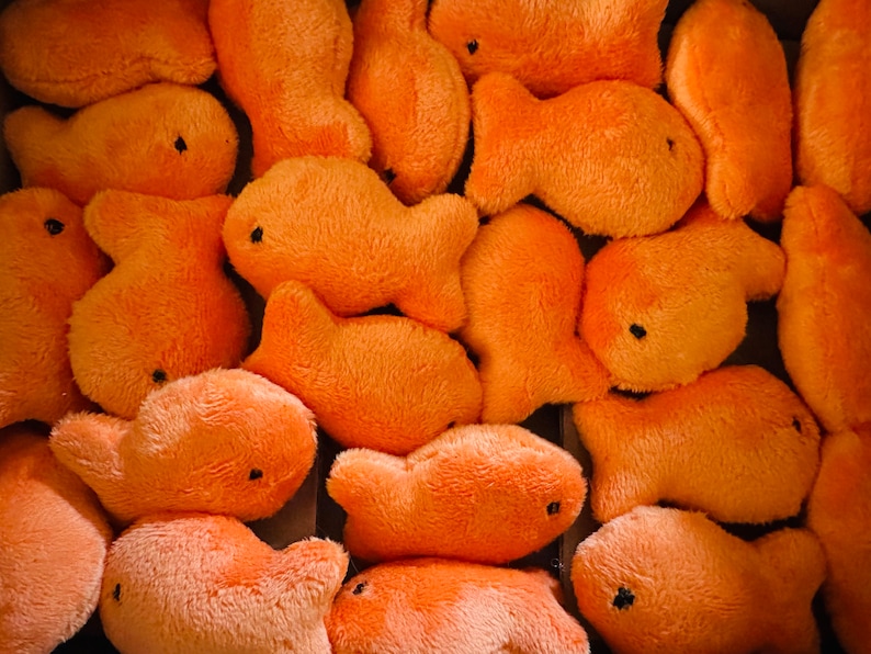 Pode incluir: Um close-up de um grupo de brinquedos de peixe de pel&uacute;cia laranja. Os peixes s&atilde;o de diferentes tamanhos e formas, e todos s&atilde;o feitos de um material macio e felpudo.