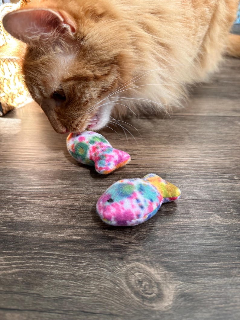 May include: A ginger cat playing with two colorful fish-shaped cat toys on a wood floor. The toys are made of soft fabric and have a tie-dye pattern.