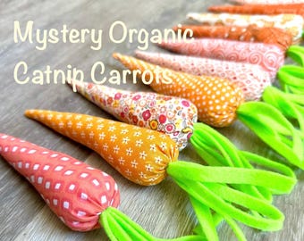 Handmade Organic Catnip Carrot Toy: Soft Plush Assorted Styles