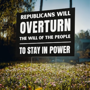 Protect Democracy Yard Sign – Civic Message About Representation, Political Lawn Decor, Voter Awareness Outdoor Display