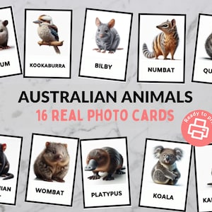 Australian Animal Flashcards - 3 Part Cards - Matching Games - Toddlers, Preschool, Kindergarten, Montessori - Printable Download