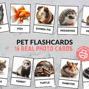 Pet Animal Flashcards - Montessori 3- Part Cards - Nomenclature Cards - Toddlers / Preschool / Kindergarten - Real Pictures - Printable