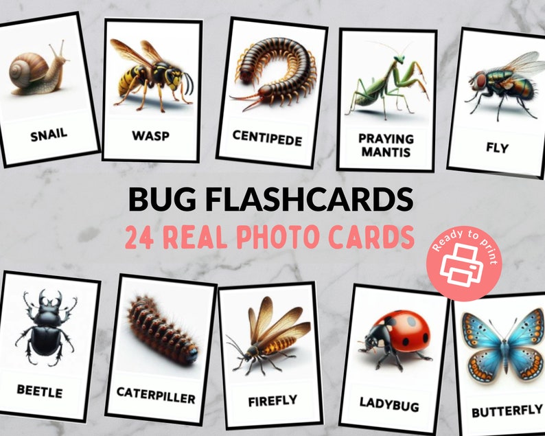 Bug Flashcards - Montessori 3- Part Cards - Nomenclature Cards ...