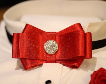 Men's Premium Bow Tie and Flower Lapel Pin Set Red Color