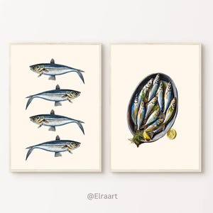 Set of 4 SARDINES Art Print - Sardine Print - Sardine Plate - Sardine Poster - French Kitchen Art - Restaurant Fish Art - Kitchen Print