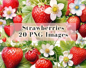 Watercolor Strawberries Clipart - 20 PNG Clip Art Graphics - Red Berry Clip Art - Watercolor Floral Clipart - Wild Strawberry PNG Download