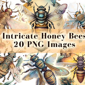 Intricate Honey Bee Clipart Bundle 20 PNG, Spring Decor, Watercolor honeybee art, bee clip art PNG graphics instant download commercial use