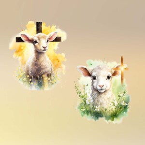 May include: Two watercolor illustrations of lambs with crosses behind them. The lamb on the left is standing in a field of yellow flowers and the lamb on the right is standing in a field of white flowers.
