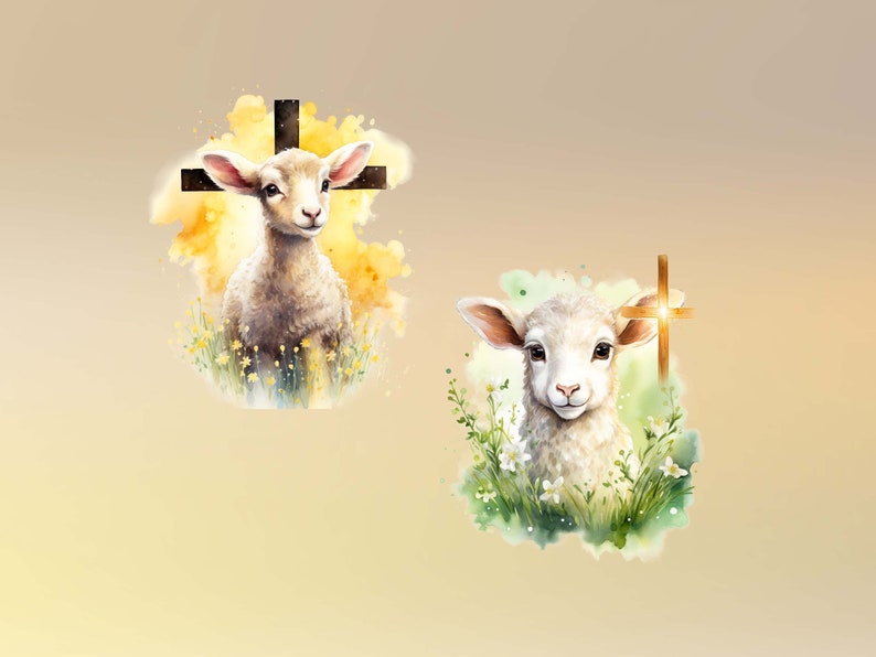May include: Two watercolor illustrations of lambs with crosses behind them. The lamb on the left is standing in a field of yellow flowers and the lamb on the right is standing in a field of white flowers.
