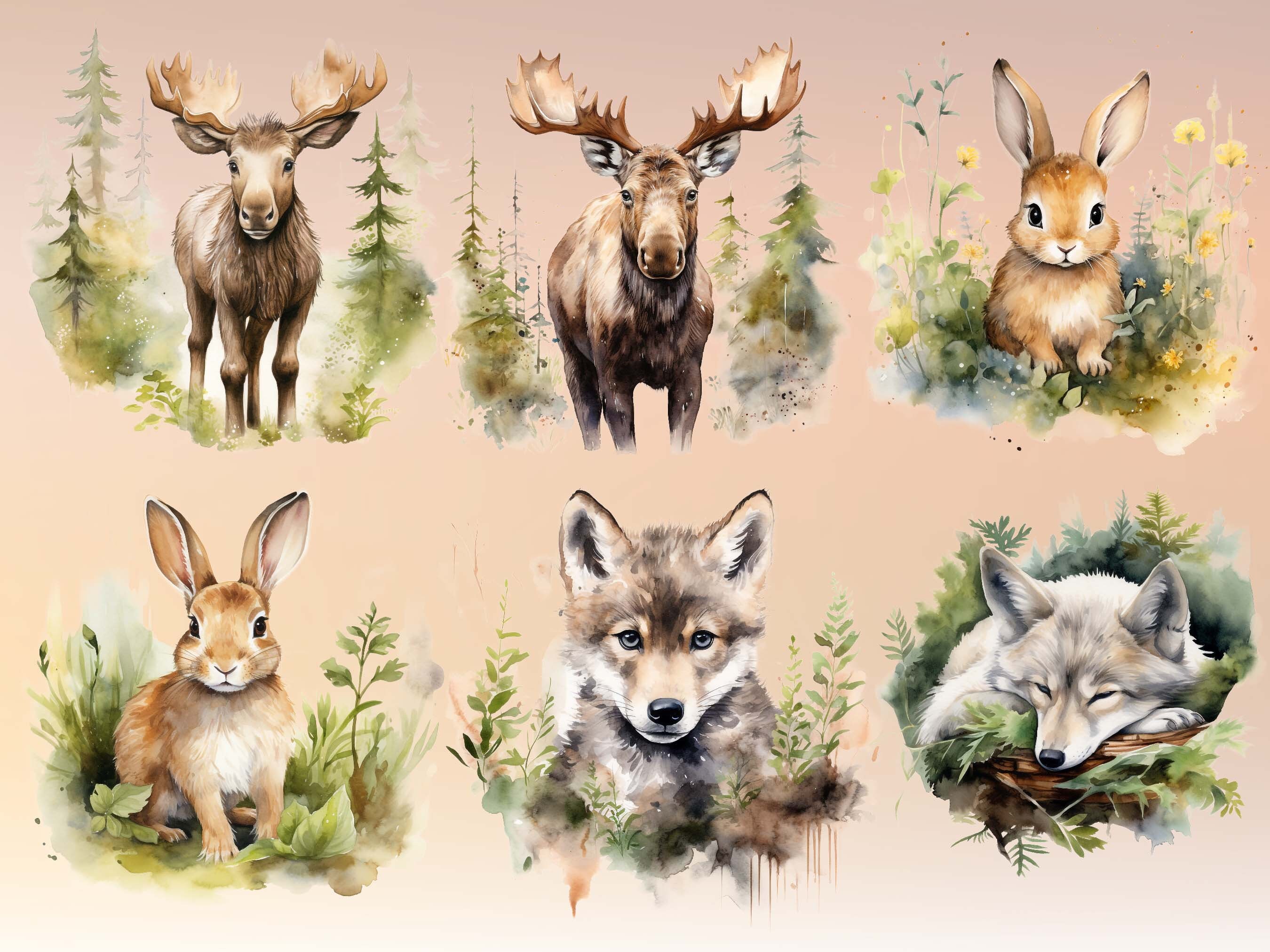 Woodland Animals Clipart - Watercolor Forest Animals PNG - Cute ...
