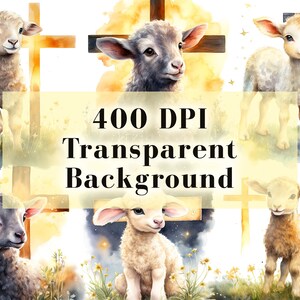 May include: Five watercolor illustrations of lambs standing in front of wooden crosses. The lambs are white, gray, and brown. The background is a watercolor wash of yellow and blue.