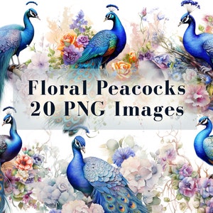 Watercolor Floral Peacock Clipart Bundle, 20 Peacock PNG, Boho Feather Art, Watercolor Bird, Peacock Feathers, Sublimation, Digital Download