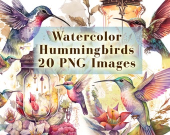 Paquete de imágenes prediseñadas de colibríes en acuarela: 20 ilustraciones PNG, manualidades, collages, álbumes de recortes e impresiones artísticas de colibríes, descarga instantánea.