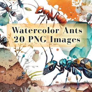 Watercolor Ants Clipart Bundle, 20 Digital Ants PNG, watercolor art, ant clip art PNG graphics instant download commercial use
