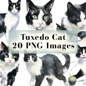 Tuxedo Cat PNG Bundle - 20 Katzen Clipart PNGs, Schwarzweiße Katzen Clipart, Tiere Clipart, Aquarell Katzenkunst, sofortiger digitaler Download
