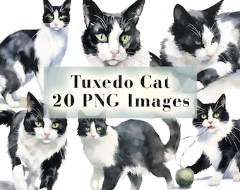 May include: A set of 20 digital images featuring watercolor illustrations of tuxedo cats in various poses. The images are perfect for crafting projects, scrapbooking, and digital design.