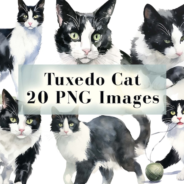 Tuxedo Cat PNG Bundle - 20 Cats Clipart PNGs, Black and White Cats Clipart, Animals Clipart, Watercolor Cat Art, Instant Digital Download