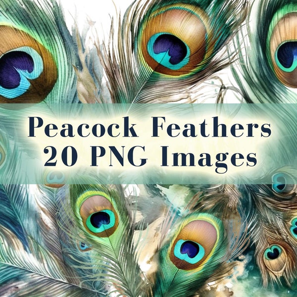 Watercolor Peacock Feather Clipart Bundle, 20 Peacock PNG, Boho Feather Art, Colorful Feathers, Sublimation Design, Digital Download