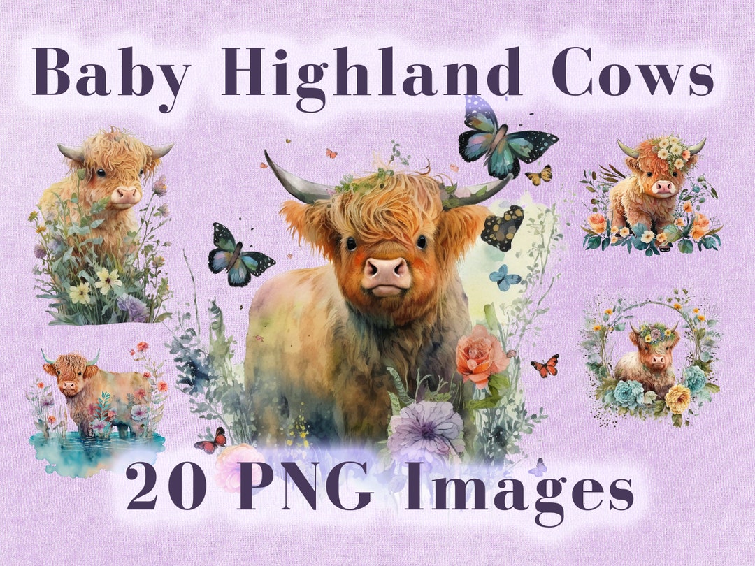 Cute Baby Highland Cow Clip Art Bundle Png Watercolor - Etsy