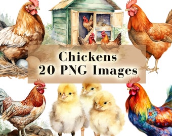 Watercolor Chicken PNG Bundle, Roosters Clipart, 20 High Quality Graphics, Baby Chicks, Farm Animals, Bird Clip Art, Printable Graphics