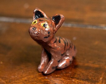 Brown Tabby Cat