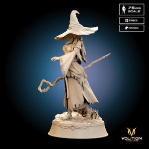 Recluse Miniature - Figure | Elden Ring: Nightreign Collectible | Hand-Painted Resin Statue | Multiple Sizes Available
