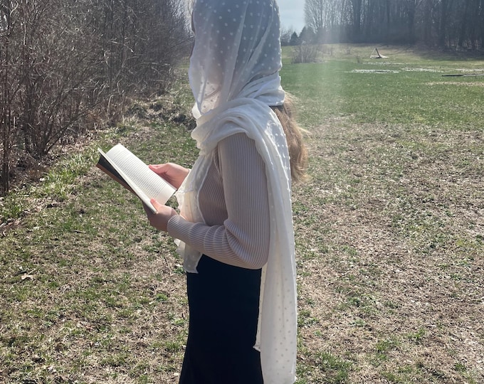 Holy Angels Veil