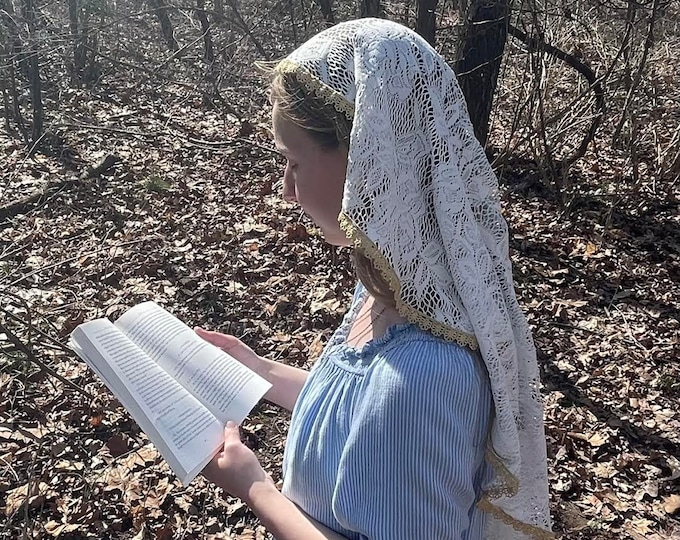 The Ascension Veil