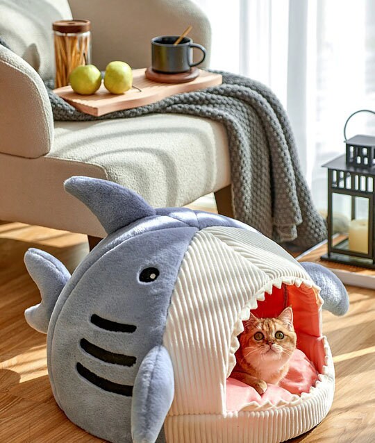 Dog and Cat Warm Bed Shark Bed for Pets Etsy