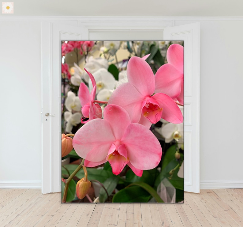 Wall Decor, Pink Orchid Print, Garden Wall Art, Botanical Print, Orchid Digital Prints, Poster