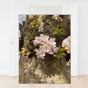 Print Cherry tree blossoms, pink florals, cottage garden, canvas, nature inspired