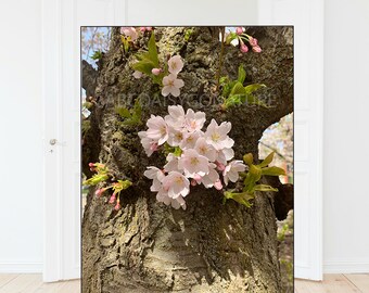 Cherry tree blossoms, pink floral cherry tree, pink flowers, flower wall art, home decor, digital prints, poster, canvas