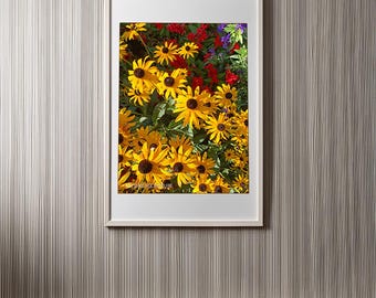 Black-Eyed Susan Print: Cottage Garden Flower Poster (11x14)