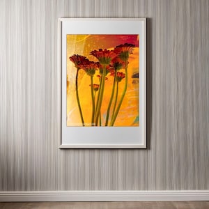 Gerbera Sunrise. Flower Print, Flower Poster, AI, Flower Wall Art, Home Decor, Cottage Core, Farmhouse Decor