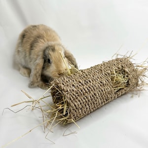 Foraging Toy Seagrass Tunnel - natural toy for bunny rabbit, chinchilla, small animals