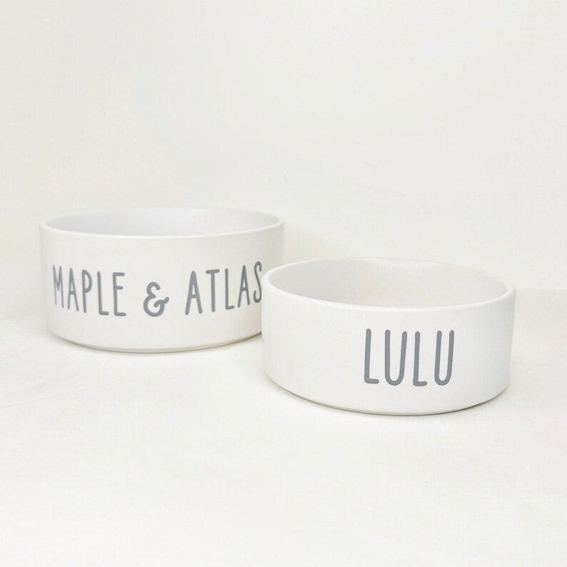 Custom Pet Bowl, Rabbit Bowl,bunny Feeder, Ceramic Pet Bowl