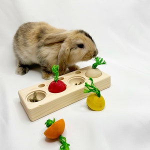 Foraging Toy - natrual wood toy for bunny rabbit, chinchilla, small animals