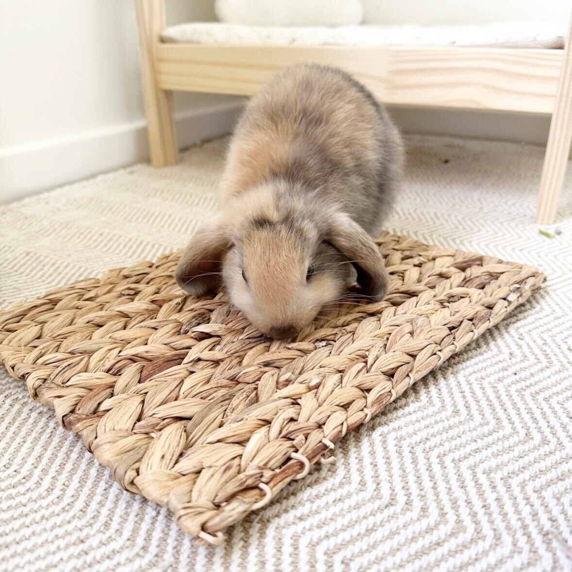Natural Hyacinth Mat Dig and Chew Mat Rabbit Toy Bunny Toy Etsy Australia