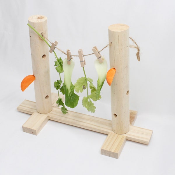 Foraging Toy - natrual wood toy for bunny rabbit, chinchilla, small animals