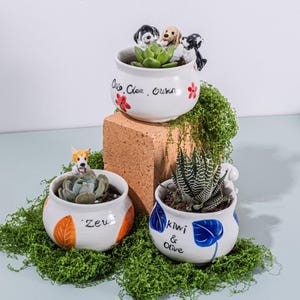 Peut inclure: Trois pots de fleurs en céramique blanche avec des plantes succulentes et des figurines de chiens. Un pot a une figurine de corgi, un autre a trois figurines de chiens, et le troisième a une poignée en forme de figurine de chien. Les pots ont des motifs peints et du texte.
